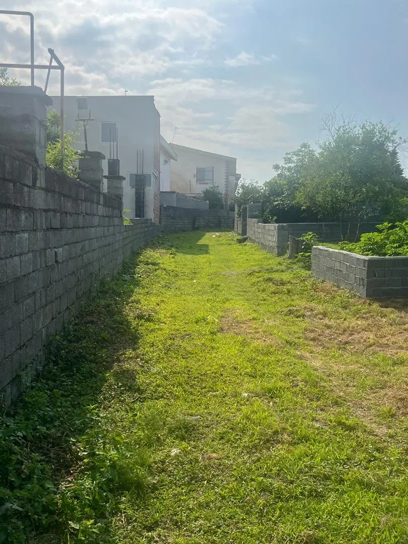 تصویر 3