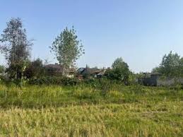 زمین باغی ۱۰۰۰ متر ملارد